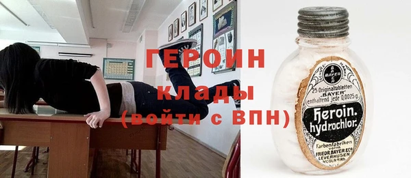 прущие грибы Верхний Тагил