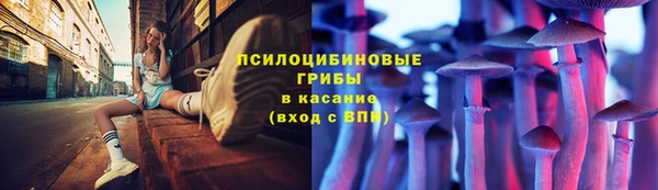 2c-b Верея