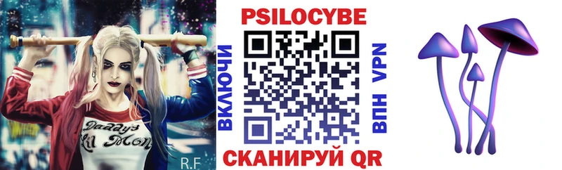 Псилоцибиновые грибы мицелий  Галич 
